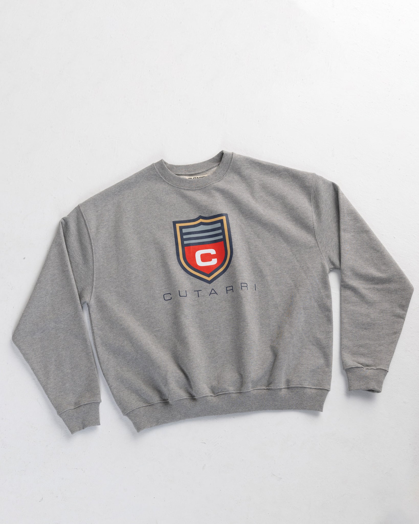 Gray sweatshirt with a colorful logo on a light gray background